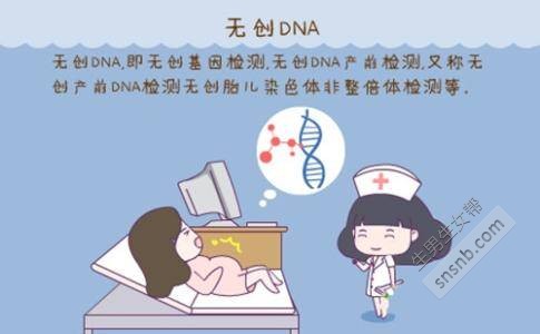 无创dna12周和16周区别