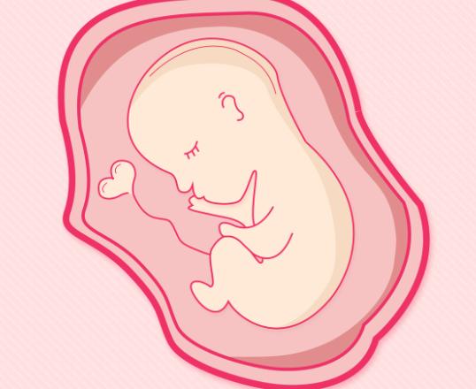 【胎儿双侧肾盂无分离是什么意思】胎儿双侧肾盂未见分离是什么意思