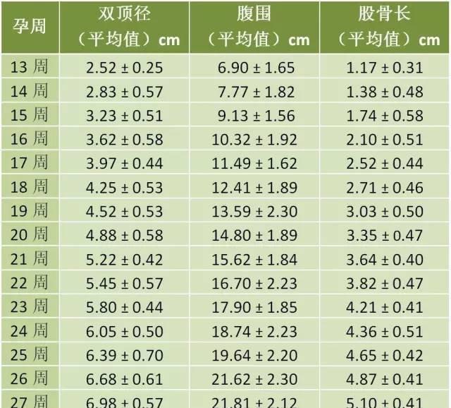 胎儿发育标准对照表图