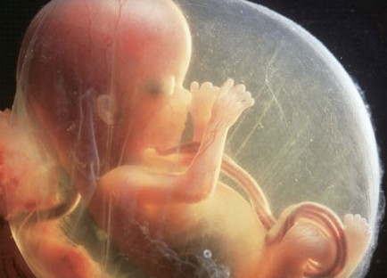 怀孕后期要时刻注意胎儿的发育胎儿发育