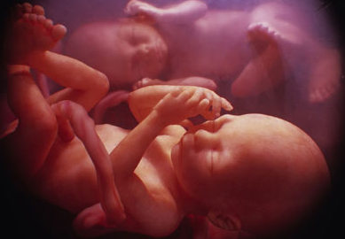 胎儿每月感官发育的顺序