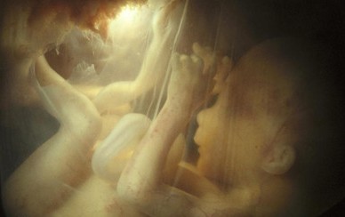 导致胎儿停止发育的6个原因流产胎停