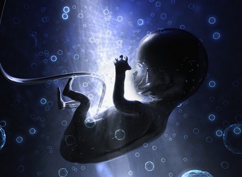 孕期抽烟影响胎儿视力发育胎儿发育
