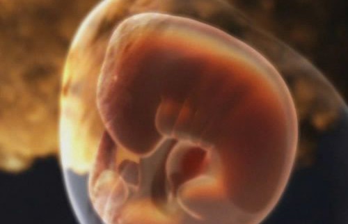 胎儿体重不足要怎么办呢胎儿发育