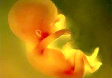 孕妇出现停胎的几种原因流产胎停