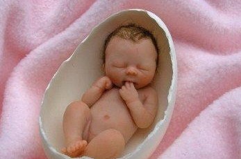 怀孕3个月：胎儿器官已有明显特征胎儿发育