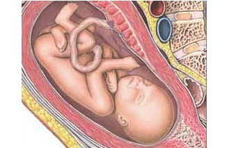 怀孕8个月胎儿的发育状况胎儿发育