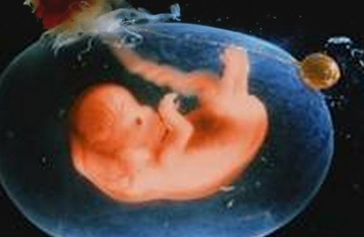 怀孕9个月胎儿的发育状况