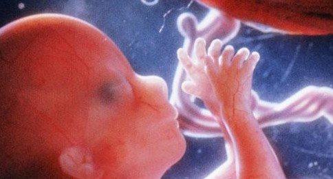 怀孕10个月胎儿的发育状况胎儿发育