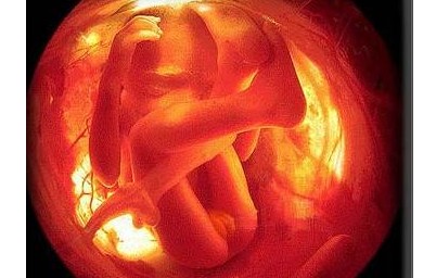 怀孕5个月胎儿的发育状况胎儿发育