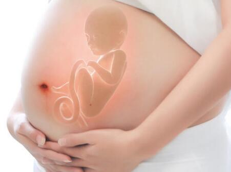 36周胎儿发育指标