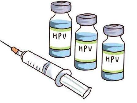 HPV疫苗对胎儿的影响