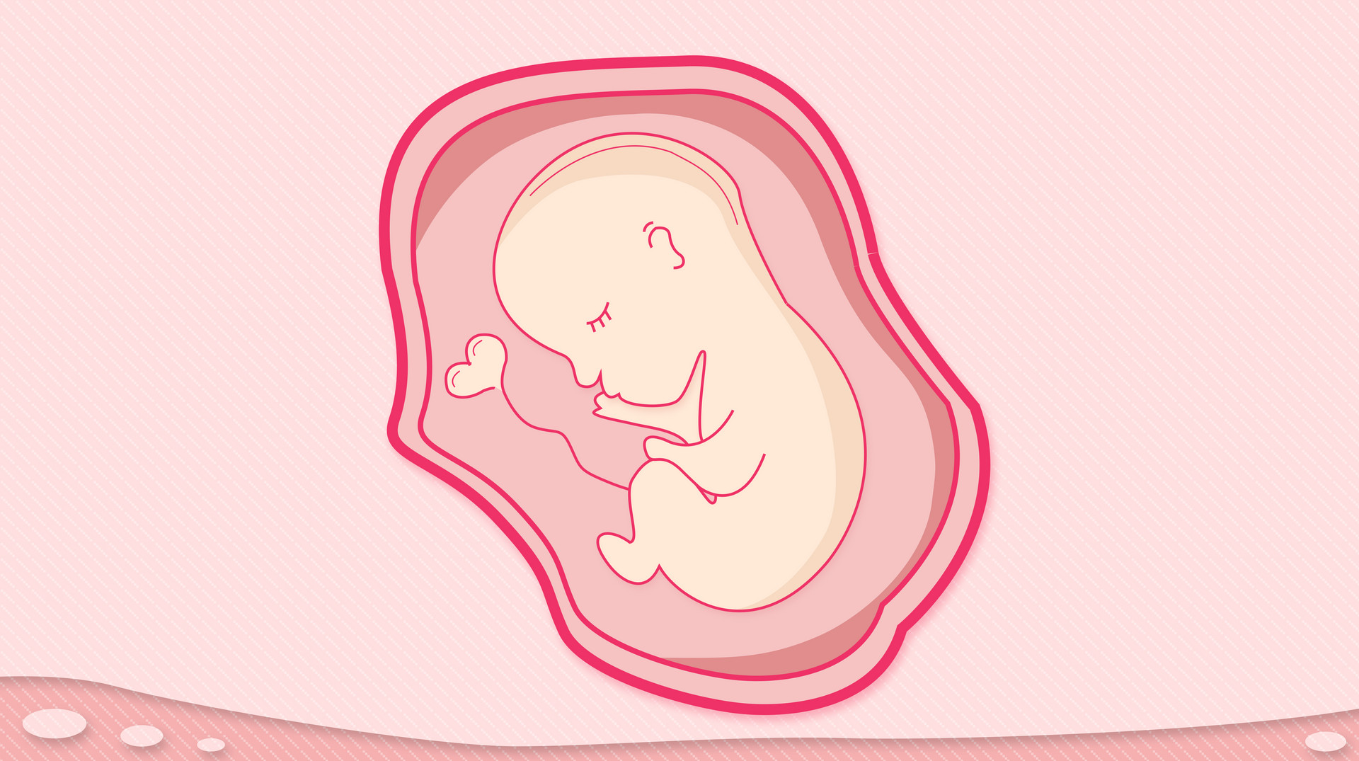 【胚芽大小】胚芽大小看男孩女孩胚芽大小与孕周关系