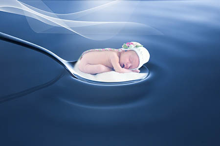 胎儿在子宫里10个月3D的呈现图，可以清楚的了解到胎儿宝宝在每一周的发育过程