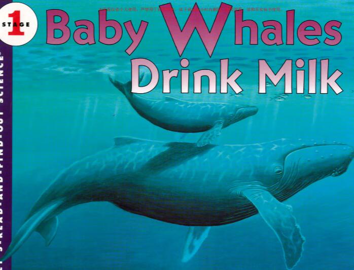 《Baby Whales Drink Milk》科普类英语绘本pdf资源免费下载