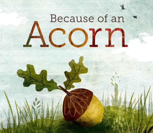《Because of an Acorn》英语绘本pdf电子版资源免费下载