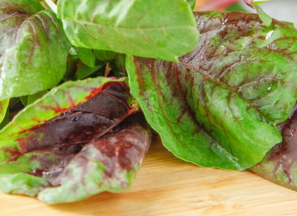 鄂州主城区对居民蔬菜价格补贴公告