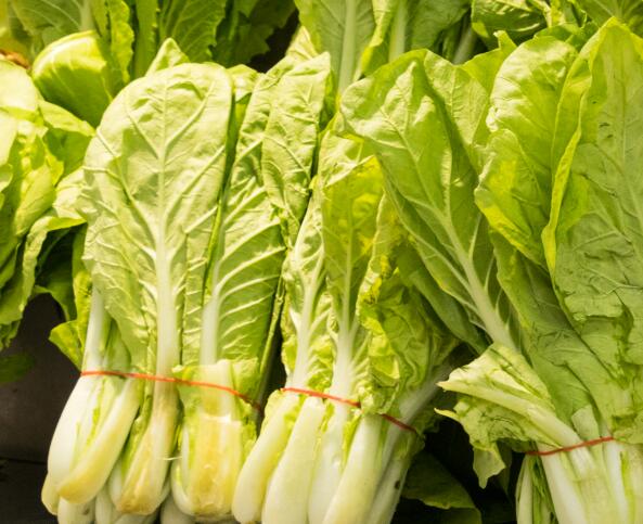 鄂州主城区对居民蔬菜价格补贴公告