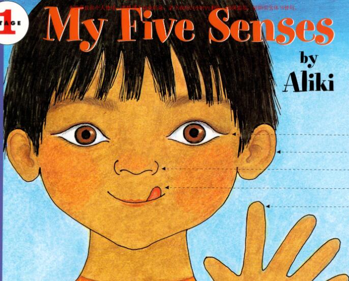 《My Five Senses》英语绘本故事pdf资源免费下载