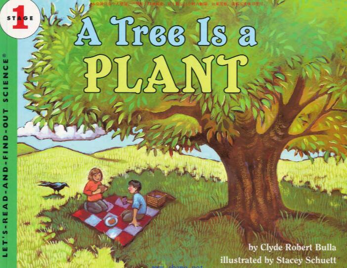 《A Tree Is a Plant》科普类英语绘本pdf资源免费下载