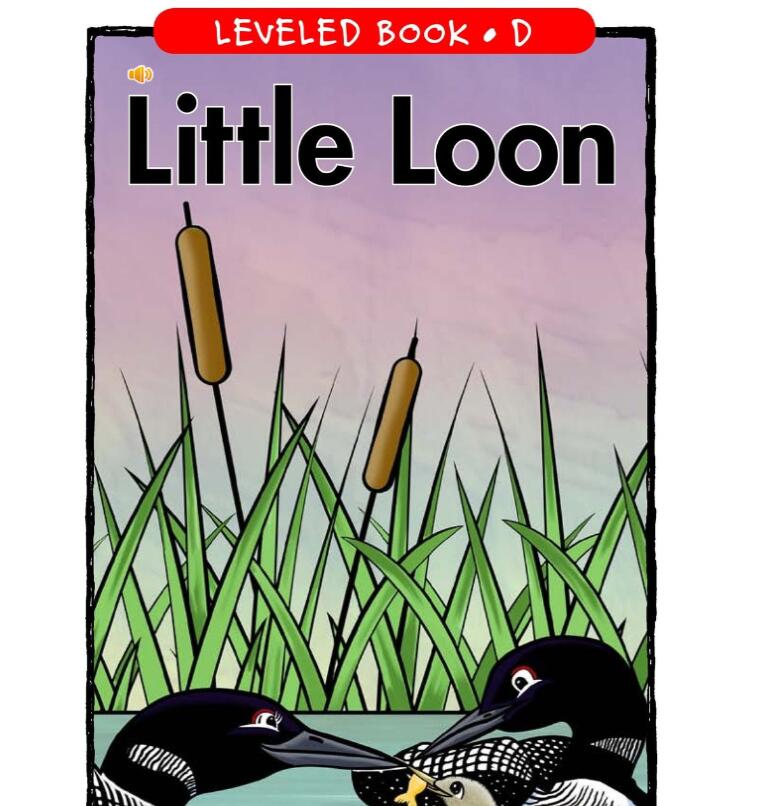 《Little Loon小笨蛋》英文原版绘本pdf资源免费下载