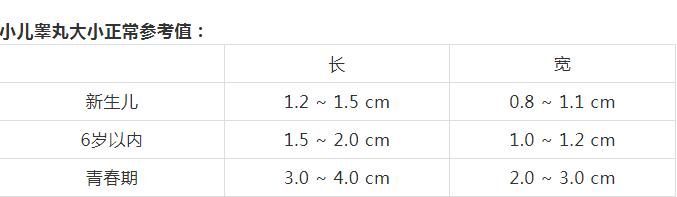 睾丸多大算正常