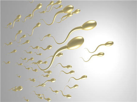 精子的正常形态是什么样
