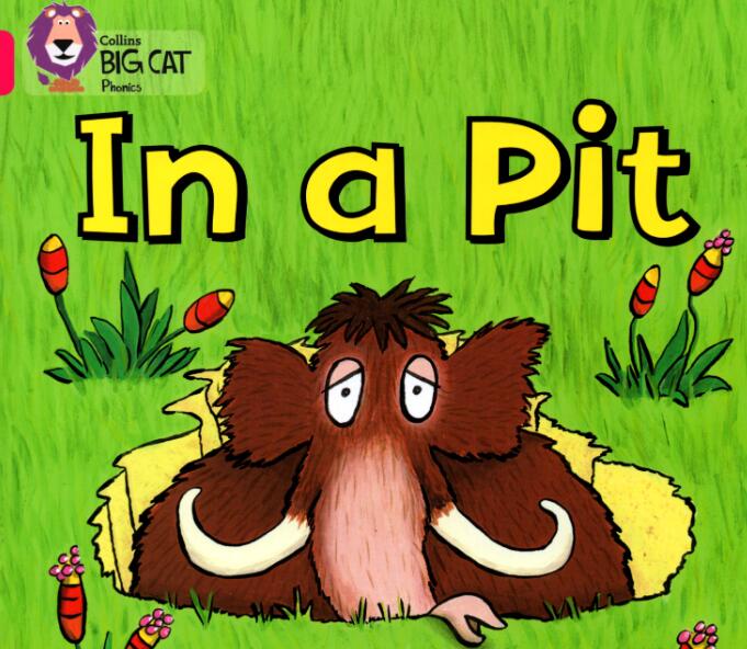《In a Pit》大猫自然拼读绘本pdf资源免费下载