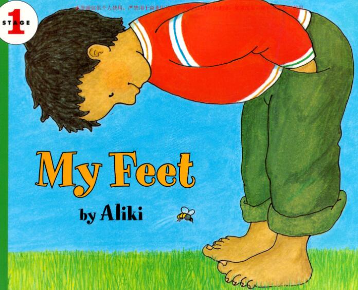 《My Feet》科普类英文绘本pdf资源免费下载