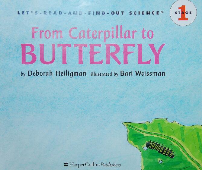 《From Caterpillar to Butterfly》科普类英语绘本pdf资源免费下载