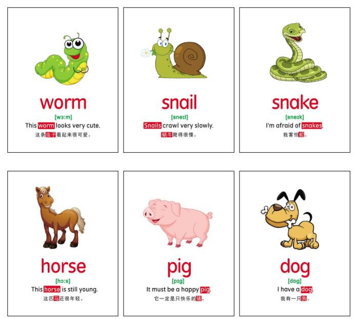 78张动物闪卡PDF资源百度网盘免费下载