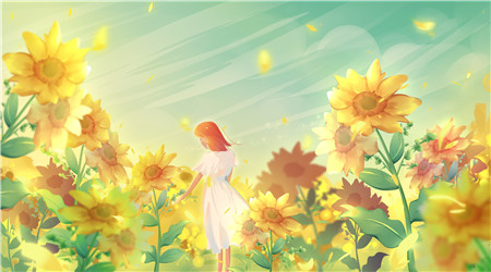 向日葵和太阳的故事