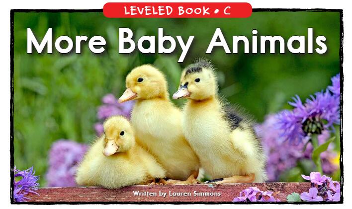 《More Baby Animals》RAZ分级阅读绘本pdf资源免费下载