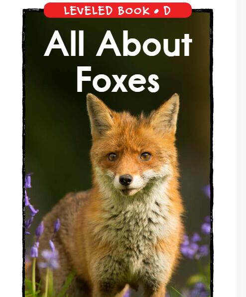 《All About Foxes》RAZ分级绘本内容pdf资源免费下载