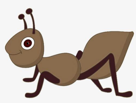 蚂蚁的旅行的故事