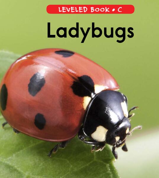 《Ladybugs》RAZ分级阅读绘本pdf资源免费下载