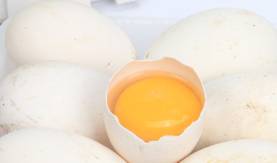 孕晚期可以吃洋葱炒鸡蛋吗