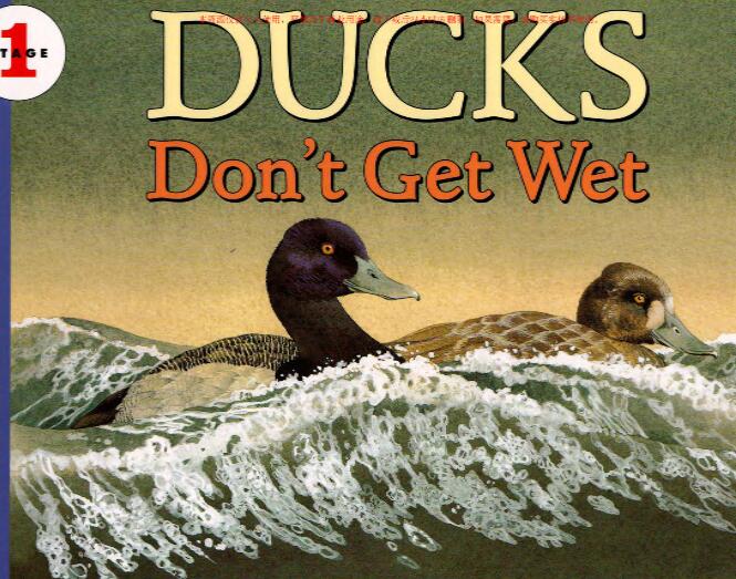 《Ducks Don't Get Wet》英文绘本pdf资源免费下载