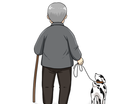 老人与流浪狗的故事