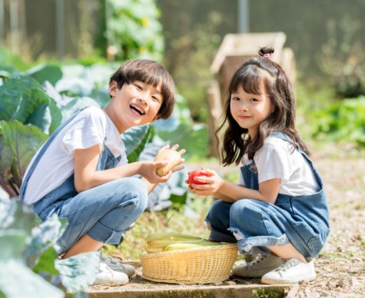 男孩晚一年上学的坏处