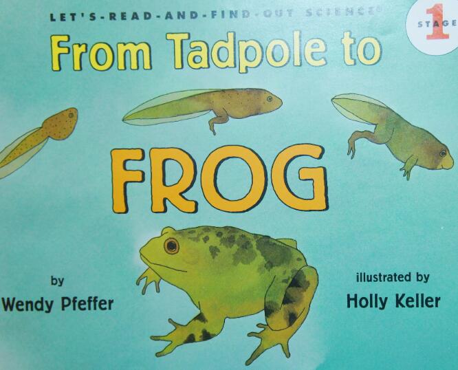 《From Tadpole to Frog从蝌蚪到青蛙》科普绘本pdf资源免费下载