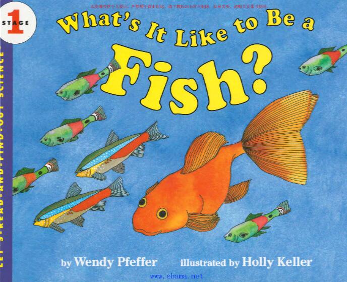 《What's it like to be a fish》英文绘本pdf资源免费下载