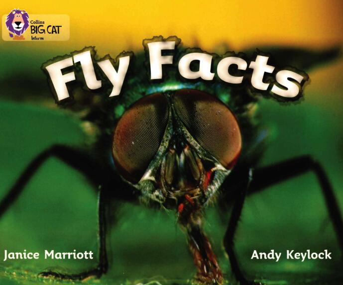 《Fly Facts》大猫分级英语绘本pdf资源免费下载