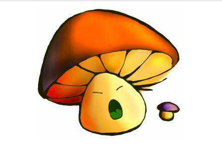 蘑菇伞下的笑声故事