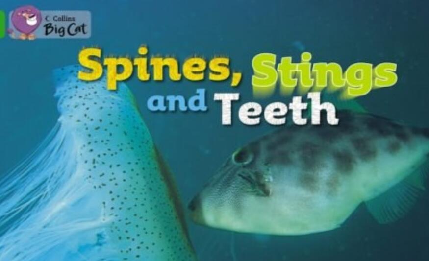 《Spines,stings and teeth》英语绘本pdf资源免费下载