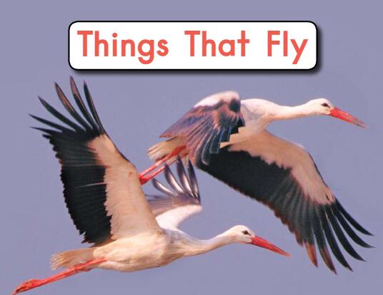《things That Fly那些会飞的动物》海尼曼英语绘本pdf资源免费下载