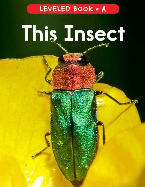 《This Insect》RAZ分级英语绘本资源免费下载