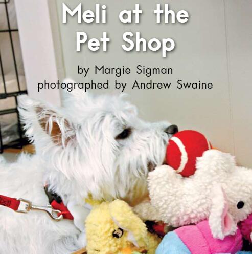 《Meli At The Pet Shop梅莉在宠物店》英语绘本故事pdf资源免费下载