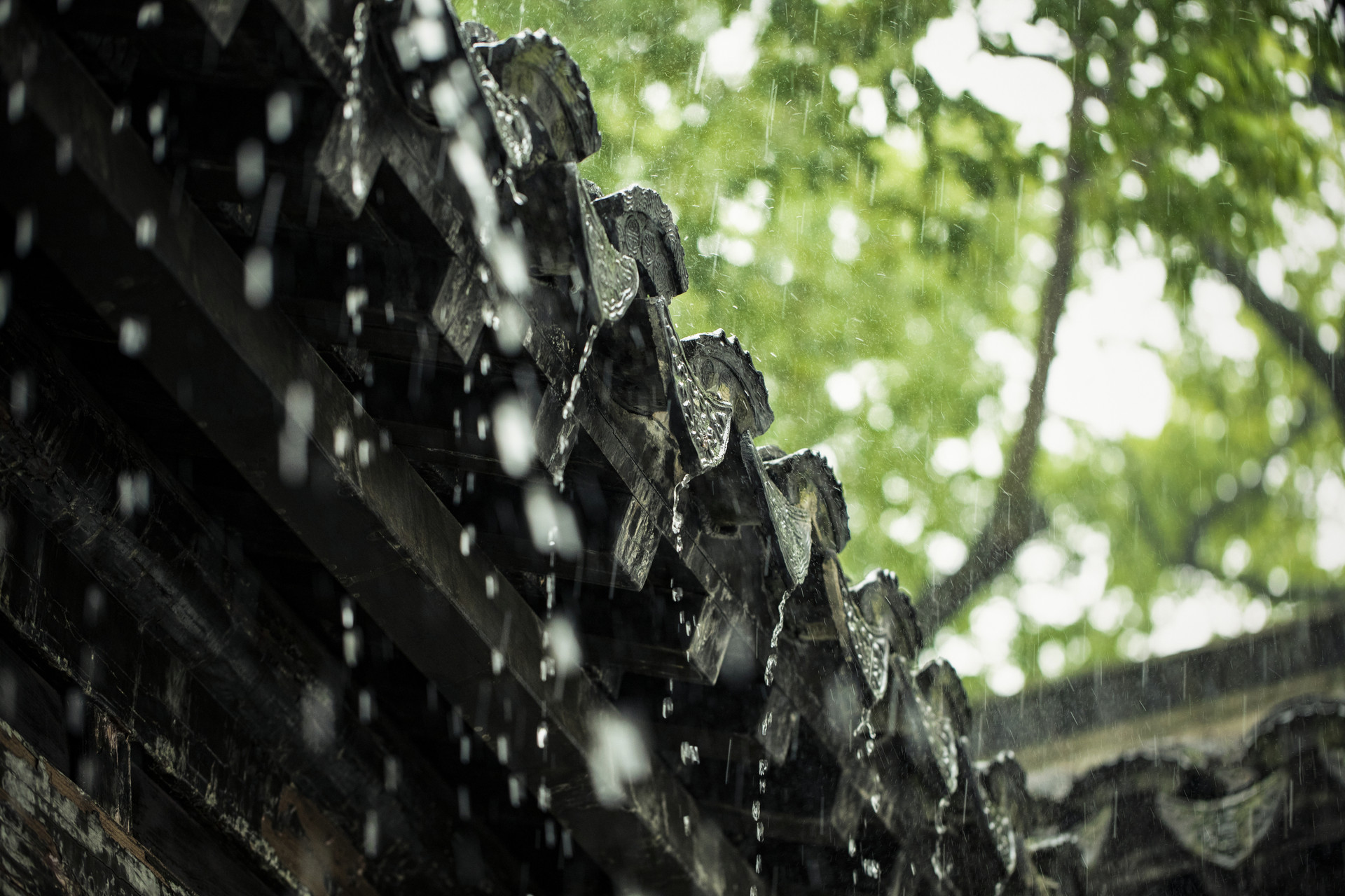 秋天雨水多冬天会更冷吗