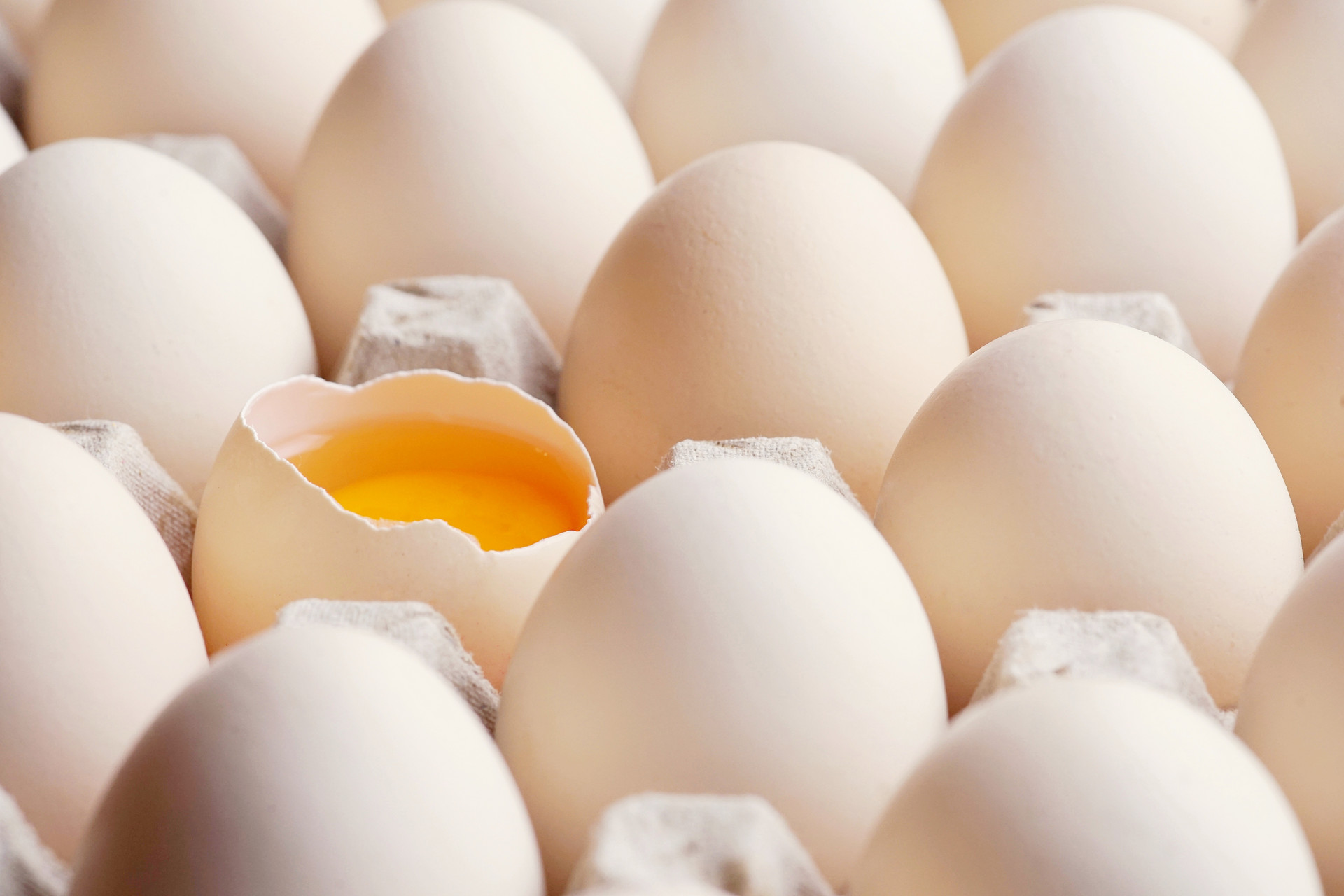 绿壳鸡蛋和普通鸡蛋有区别吗